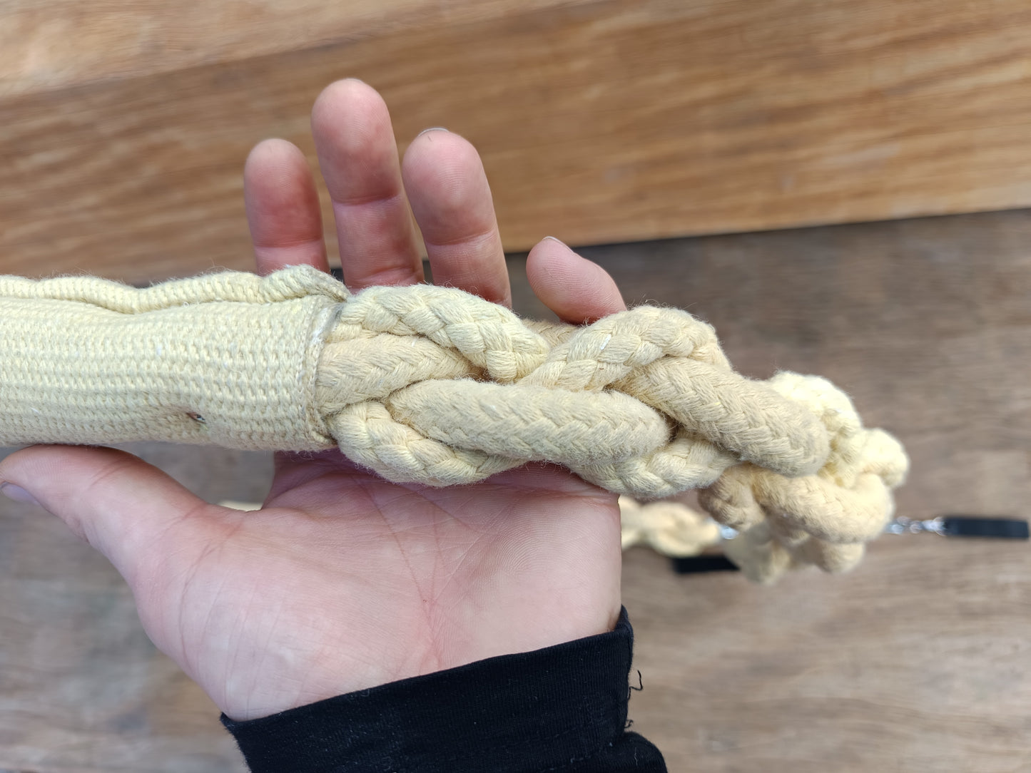 Devils snake poi