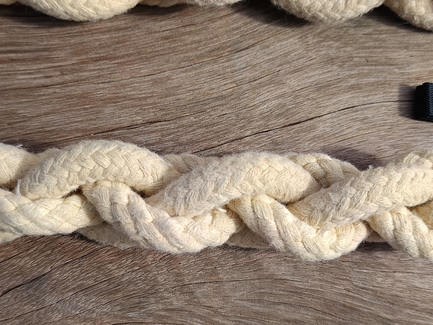 Devils snake poi