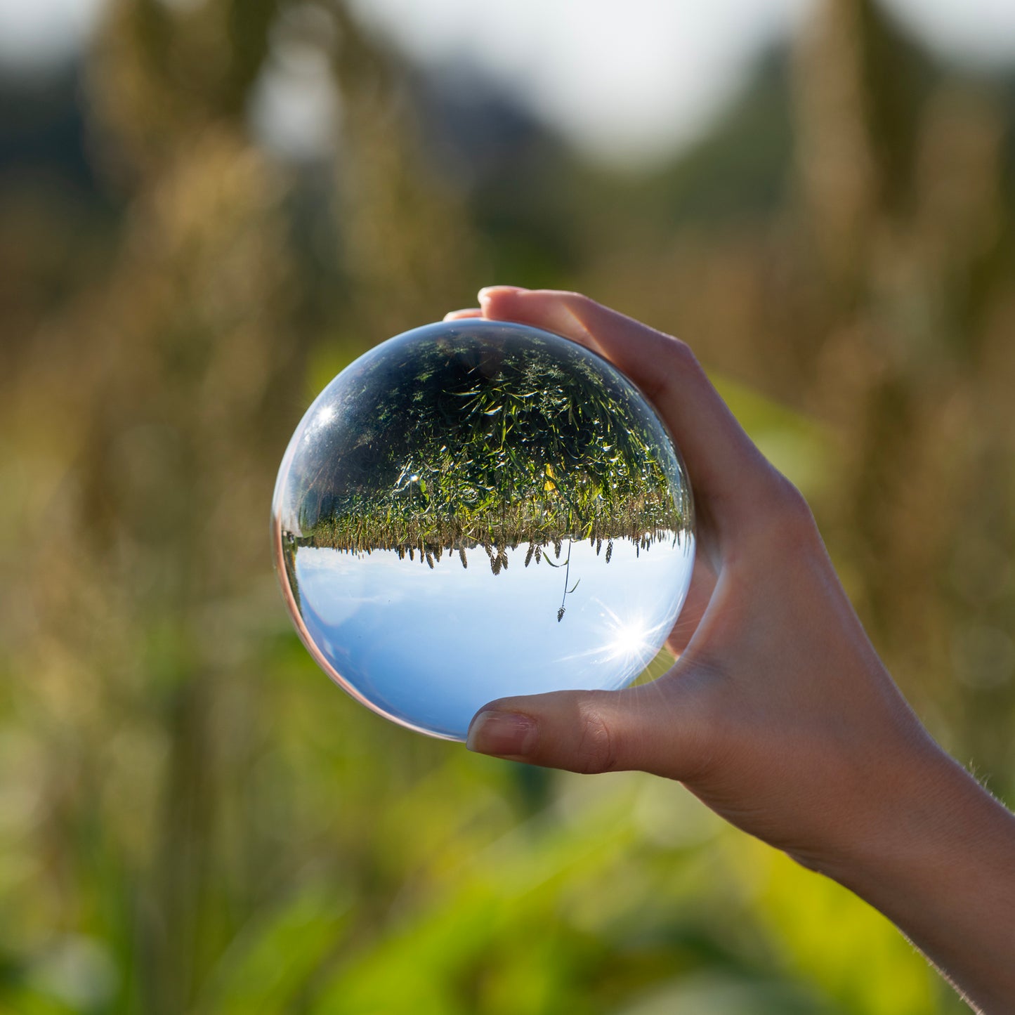Acrylic Ball