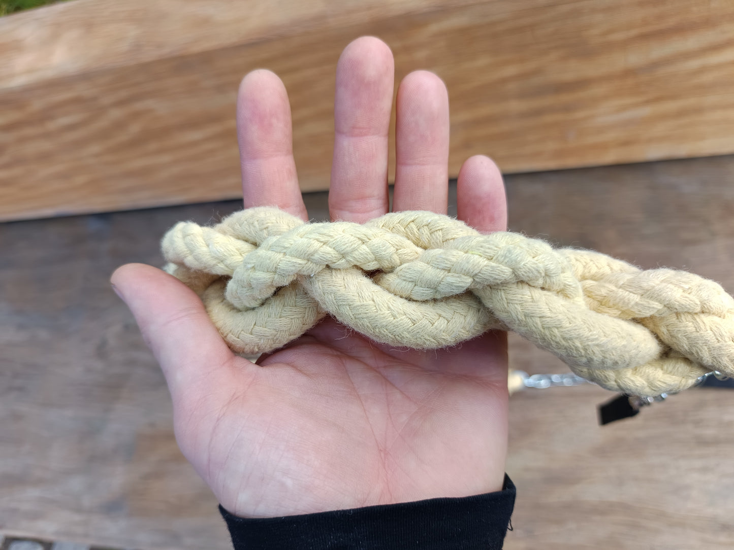 Devils snake poi