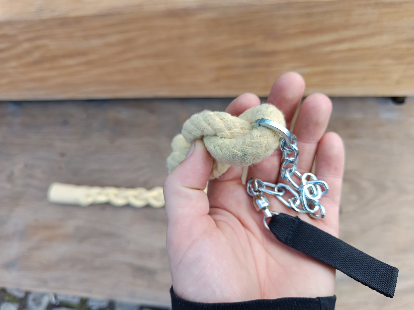 Devils snake poi